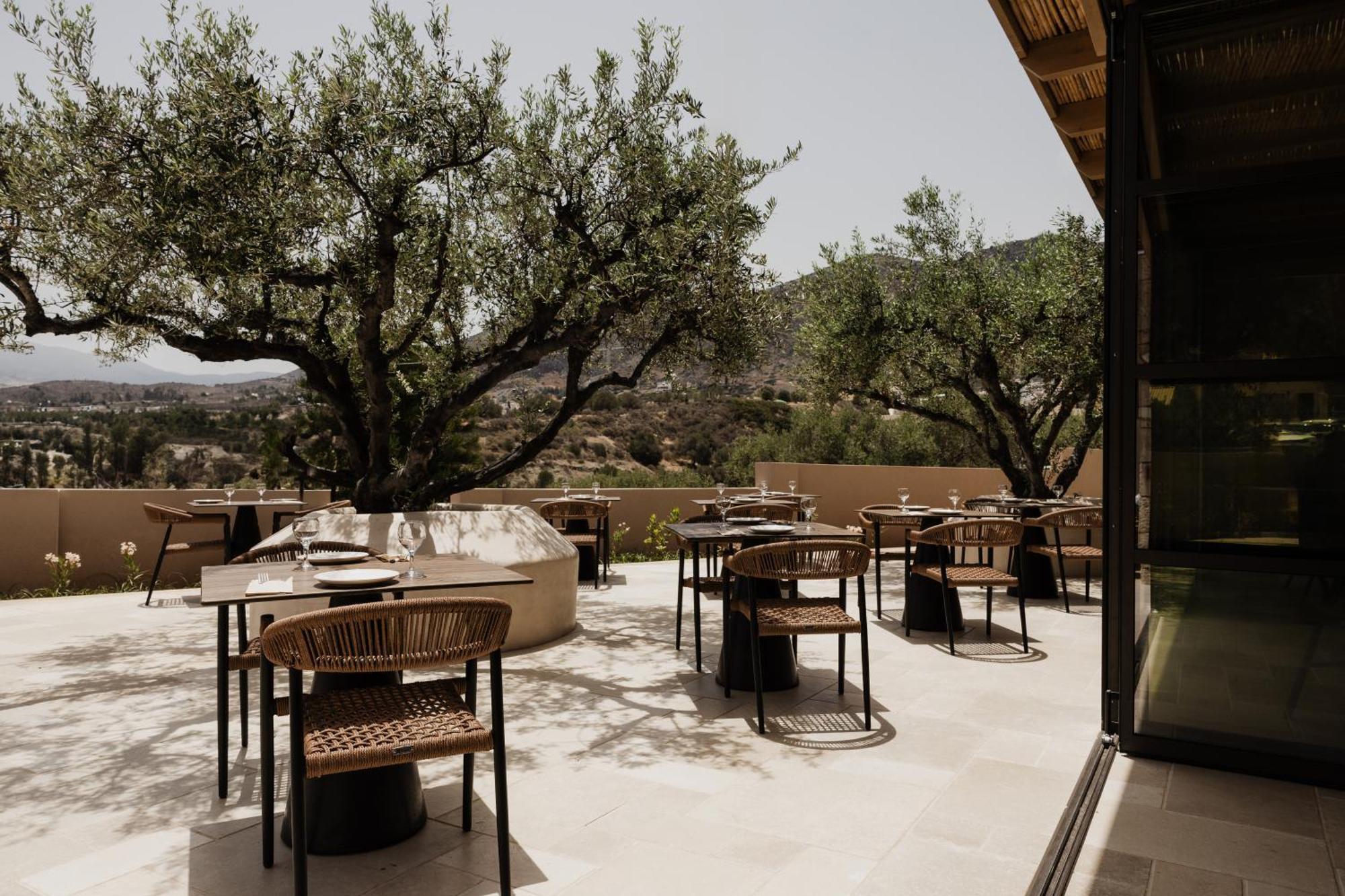 Momi Slow Living Hotel Hersonissos  Dış mekan fotoğraf